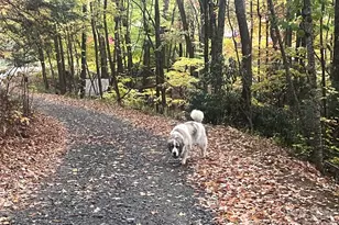 2778 Mule Stomp Rd, Hot Springs, NC 28721 - Photo 30