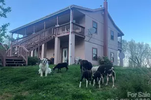 2778 Mule Stomp Rd, Hot Springs, NC 28721 - Photo 4