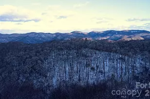 2778 Mule Stomp Rd, Hot Springs, NC 28721 - Photo 44