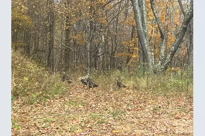 2778 Mule Stomp Road, Hot Springs, NC 28721 - Photo 6