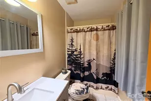 2778 Mule Stomp Rd, Hot Springs, NC 28721 - Photo 40