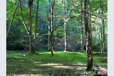 2778 Mule Stomp Road, Clyde, NC 28721 - Photo 14