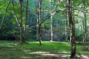 2778 Mule Stomp Rd, Hot Springs, NC 28721 - Photo 14