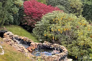 2778 Mule Stomp Rd, Hot Springs, NC 28721 - Photo 28