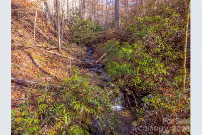 744 Coon Creek Road, Franklin, NC 28734 - Photo 4