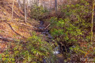 744 Coon Creek Rd, Franklin, NC 28734 - Photo 4