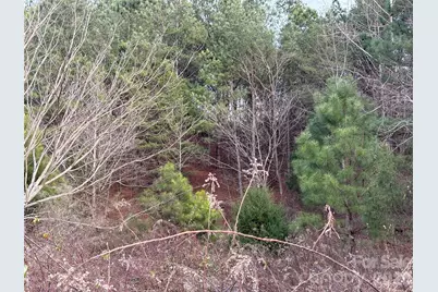 0 Scroggs Cemetery Road #1, Statesville, NC 28677 - Photo 4