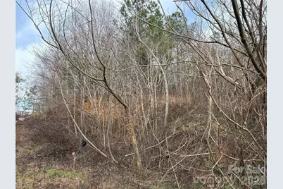 0 Scroggs Cemetery Road #1, Statesville, NC 28677 - Photo 2