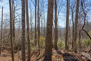 0 Dogwood Dr, Lake Lure, NC 28746 - Photo 1