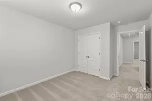 272 Briana Marie Way, Indian Trail, NC 28079 - Photo 26