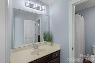 369 Cove Creek Loop, Mooresville, NC 28117 - Photo 26