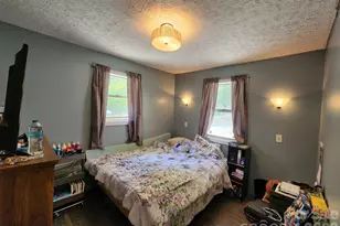 41 Gunches Dirt Rd, Candler, NC 28715 - Photo 18