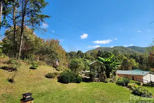 41 Gunches Dirt Rd, Candler, NC 28715 - Photo 10