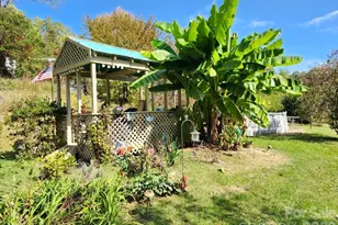 41 Gunches Dirt Rd, Candler, NC 28715 - Photo 26