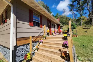 41 Gunches Dirt Rd, Candler, NC 28715 - Photo 12