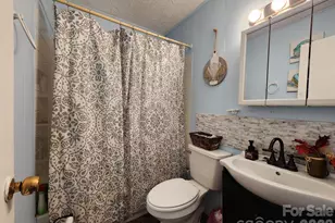 41 Gunches Dirt Rd, Candler, NC 28715 - Photo 18