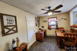 41 Gunches Dirt Rd, Candler, NC 28715 - Photo 20