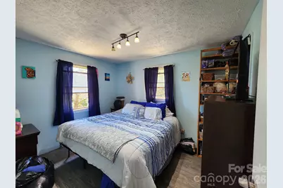 41 Gunches Dirt Road, Candler, NC 28715 - Photo 16