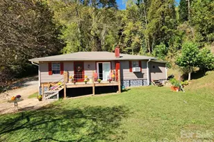 41 Gunches Dirt Rd, Candler, NC 28715 - Photo 4