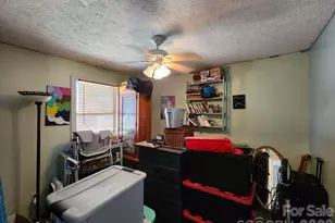 41 Gunches Dirt Rd, Candler, NC 28715 - Photo 20