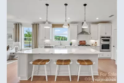 1036 Paddlers Way #143, Belmont, NC 28012 - Photo 4