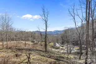 55 Comet Ln, Waynesville, NC 28785 - Photo 40