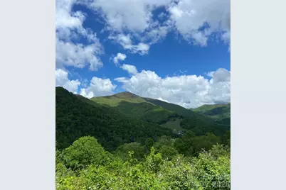 79 Sunflower Lane, Waynesville, NC 28785 - Photo 30