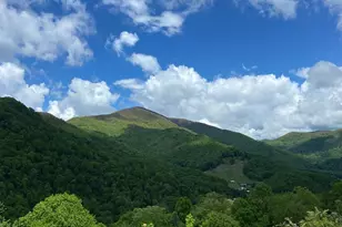 79 Sunflower Ln, Waynesville, NC 28785 - Photo 30