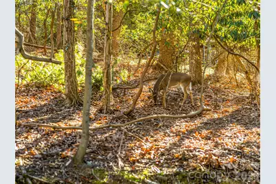 2388 Hebron Road, Hendersonville, NC 28739 - Photo 42