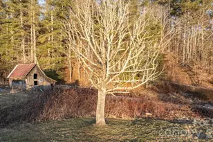 40 Painter Rd, Banner Elk, NC 28604 - Photo 28