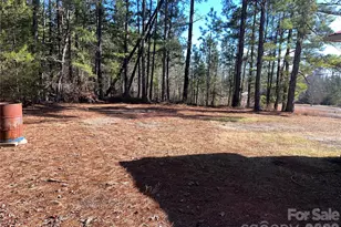 6957 Vintage Rd, Lilesville, NC 28091 - Photo 4