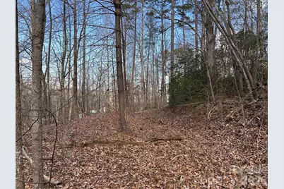 301 Burke Street, Rhodhiss, NC 28601 - Photo 8