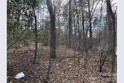 301 Burke Street, Rhodhiss, NC 28601 - Photo 6