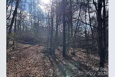 303 Burke Street, Rhodhiss, NC 28601 - Photo 6