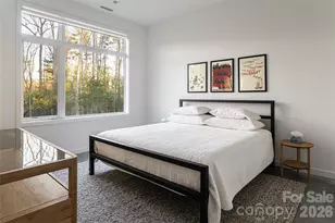 221 Fern Grv Ct, Asheville, NC 28803 - Photo 26