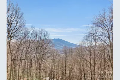 371 Falcon Ridge Drive, Waynesville, NC 28786 - Photo 46