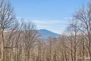 371 Falcon Ridge Dr, Waynesville, NC 28786 - Photo 44