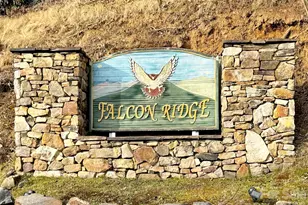 371 Falcon Ridge Dr, Waynesville, NC 28786 - Photo 20