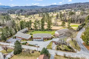 410 Golf View Condo Ln, Hendersonville, NC 28739 - Photo 26