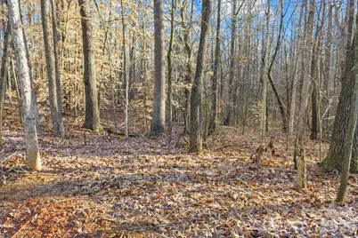 6872 Buttercup Lane, Kannapolis, NC 28081 - Photo 8