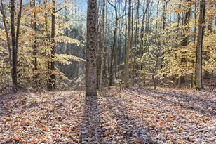 6872 Buttercup Ln, Kannapolis, NC 28081 - Photo 10