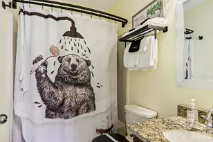 129 Riverside Villa Dr, Maggie Valley, NC 28751 - Photo 26