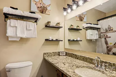 129 Riverside Villa Drive, Maggie Valley, NC 28751 - Photo 30