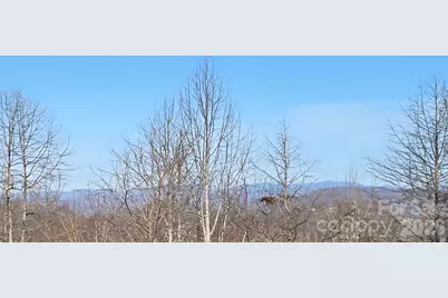 120 Breckenridge Court, Hendersonville, NC 28739 - Photo 4