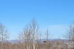 120 Breckenridge Ct, Hendersonville, NC 28739 - Photo 4