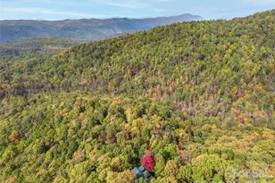 167 Mountain Vis Dr, Saluda, NC 28773 - Photo 10