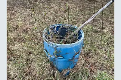 593 Brooks Road, Bostic, NC 28018 - Photo 14