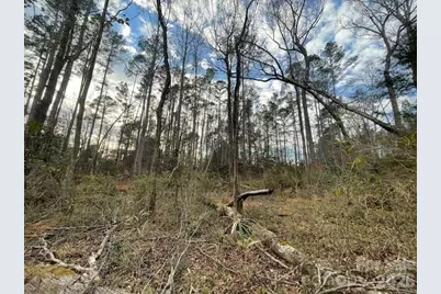 593 Brooks Road, Bostic, NC 28018 - Photo 10