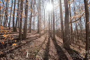 530 Upright Rd, Mount Ulla, NC 28125 - Photo 48