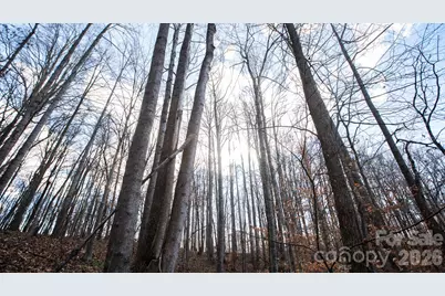 Tbd Upright Road, Mount Ulla, NC 28125 - Photo 32